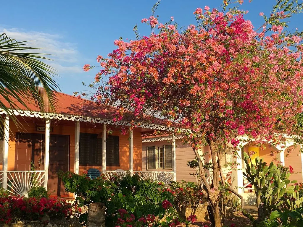 Vakantiepark Little Bay Cabins